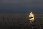 https://www.waibe.fr/sites/mohamedbenbelgacem/medias/images/__HIDDEN__galerie_1/IMG_9905-Avec_accentuation-Bruit_copie_N_copie_S.jpg