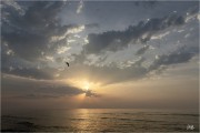 https://www.waibe.fr/sites/mohamedbenbelgacem/medias/images/__HIDDEN__galerie_1/_F4A0487__SITE.jpg