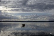 https://www.waibe.fr/sites/mohamedbenbelgacem/medias/images/__HIDDEN__galerie_1/_F4A0538-Avec_accentuation-Bruit_copie_S.jpg