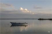 https://www.waibe.fr/sites/mohamedbenbelgacem/medias/images/__HIDDEN__galerie_1/_F4A0541-2-Avec_accentuation-Bruit_copie_S.jpg