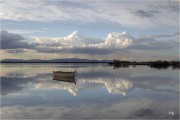 https://www.waibe.fr/sites/mohamedbenbelgacem/medias/images/__HIDDEN__galerie_1/_F4A0593-2-Avec_accentuation-Bruit_copie_S.jpg