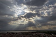 https://www.waibe.fr/sites/mohamedbenbelgacem/medias/images/__HIDDEN__galerie_1/_F4A0677-Avec_accentuation-Bruit_N_copie_S.jpg