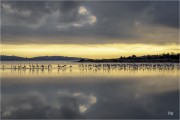 https://www.waibe.fr/sites/mohamedbenbelgacem/medias/images/__HIDDEN__galerie_1/_F4A1295-Avec_accentuation-Bruit_N_copie_S.jpg