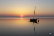 https://www.waibe.fr/sites/mohamedbenbelgacem/medias/images/__HIDDEN__galerie_1/_F4A5583-Avec_accentuation-Bruit_N_copie_S.jpg