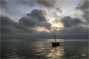 https://www.waibe.fr/sites/mohamedbenbelgacem/medias/images/__HIDDEN__galerie_1/_F4A5633-Avec_accentuation-Bruit_copie_S.jpg