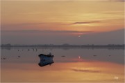 https://www.waibe.fr/sites/mohamedbenbelgacem/medias/images/__HIDDEN__galerie_1/_F4A8382-Avec_accentuation-Bruit_copie_S.jpg