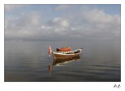 https://www.waibe.fr/sites/mohamedbenbelgacem/medias/images/__HIDDEN__galerie_1/_F4A8616-Avec_accentuation-Bruit_copie_2.jpg