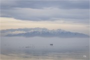 https://www.waibe.fr/sites/mohamedbenbelgacem/medias/images/__HIDDEN__galerie_1/_F4A9825-Avec_accentuation-Bruit_copie_copie_N_copie_S.jpg