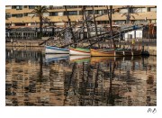 https://www.waibe.fr/sites/mohamedbenbelgacem/medias/images/__HIDDEN__galerie_1/_MGL4805-Avec_accentuation-Bruit_copie.jpg