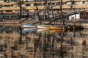 https://www.waibe.fr/sites/mohamedbenbelgacem/medias/images/__HIDDEN__galerie_1/_MGL4805-Avec_accentuation-Bruit_copie_S.jpg