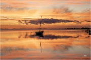https://www.waibe.fr/sites/mohamedbenbelgacem/medias/images/__HIDDEN__galerie_1/_R1A2275_NNN_copie_S.jpg