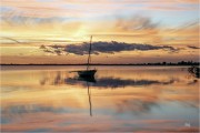 https://www.waibe.fr/sites/mohamedbenbelgacem/medias/images/__HIDDEN__galerie_1/_R1A2275_copie__NN__S.jpg