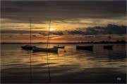 https://www.waibe.fr/sites/mohamedbenbelgacem/medias/images/__HIDDEN__galerie_1/_R1A2305_copie_NN__S.jpg