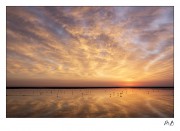 https://www.waibe.fr/sites/mohamedbenbelgacem/medias/images/__HIDDEN__galerie_1/_T7A0701-Avec_accentuation-Bruit_copie_2.jpg