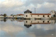 https://www.waibe.fr/sites/mohamedbenbelgacem/medias/images/__HIDDEN__galerie_1/_T7A1086-Avec_accentuation-Bruit_copie_S.jpg