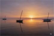 https://www.waibe.fr/sites/mohamedbenbelgacem/medias/images/__HIDDEN__galerie_1/_T7A3106-Avec_accentuation-Bruit_copie_N_copie_S.jpg