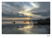 https://www.waibe.fr/sites/mohamedbenbelgacem/medias/images/__HIDDEN__galerie_1/_T7A4407-Avec_accentuation-Bruit_copie.jpg