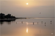 https://www.waibe.fr/sites/mohamedbenbelgacem/medias/images/__HIDDEN__galerie_1/_T7A9814_copie_NNN_copie_S.jpg