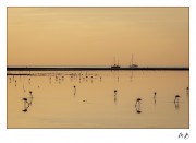 https://www.waibe.fr/sites/mohamedbenbelgacem/medias/images/__HIDDEN__galerie_1/_T7A9906-Avec_accentuation-Bruit_copie_2.jpg