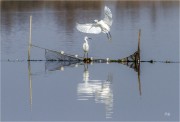 https://www.waibe.fr/sites/mohamedbenbelgacem/medias/images/__HIDDEN__galerie_10/IMG_3911_copie_S.jpg
