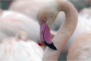 https://www.waibe.fr/sites/mohamedbenbelgacem/medias/images/__HIDDEN__galerie_10/IMG_7440_copie__N_copie_S.jpg