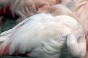 https://www.waibe.fr/sites/mohamedbenbelgacem/medias/images/__HIDDEN__galerie_10/_F4A5033-Avec_accentuation-Bruit_SITE.jpg