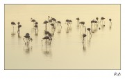 https://www.waibe.fr/sites/mohamedbenbelgacem/medias/images/__HIDDEN__galerie_10/_T7A5163_copie1.jpg