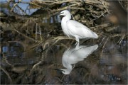https://www.waibe.fr/sites/mohamedbenbelgacem/medias/images/__HIDDEN__galerie_10/_T7A9504-Avec_accentuation-Bruit_copie_S.jpg