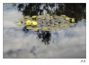 https://www.waibe.fr/sites/mohamedbenbelgacem/medias/images/__HIDDEN__galerie_12/_F4A0618-Avec_accentuation-Bruit_copie_2.jpg