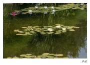 https://www.waibe.fr/sites/mohamedbenbelgacem/medias/images/__HIDDEN__galerie_12/_F4A9592-Avec_accentuation-Bruit_copie.jpg