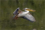 https://www.waibe.fr/sites/mohamedbenbelgacem/medias/images/__HIDDEN__galerie_13/1F4A7956_copie_S.jpg