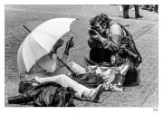 https://www.waibe.fr/sites/mohamedbenbelgacem/medias/images/__HIDDEN__galerie_16/PICT0038_copie_NN_S.jpg