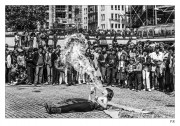 https://www.waibe.fr/sites/mohamedbenbelgacem/medias/images/__HIDDEN__galerie_16/PICT0082_copie_N_S.jpg