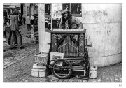 https://www.waibe.fr/sites/mohamedbenbelgacem/medias/images/__HIDDEN__galerie_16/PICT0083-2_copie_S.jpg