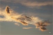 https://www.waibe.fr/sites/mohamedbenbelgacem/medias/images/__HIDDEN__galerie_17/_R1A5648_copie_NNN_copie_S.jpg