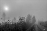 https://www.waibe.fr/sites/mohamedbenbelgacem/medias/images/__HIDDEN__galerie_2/27-Mohamed__2__copie_S.jpg
