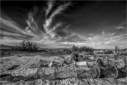 https://www.waibe.fr/sites/mohamedbenbelgacem/medias/images/__HIDDEN__galerie_2/IMG_1254_copie_S.jpg