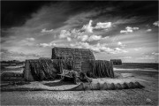 https://www.waibe.fr/sites/mohamedbenbelgacem/medias/images/__HIDDEN__galerie_2/IMG_1337_copie_2_S.jpg