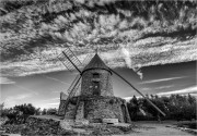 https://www.waibe.fr/sites/mohamedbenbelgacem/medias/images/__HIDDEN__galerie_2/IMG_2027_copie_S.jpg