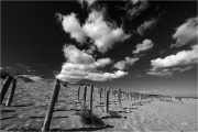 https://www.waibe.fr/sites/mohamedbenbelgacem/medias/images/__HIDDEN__galerie_2/IMG_7858-Avec_accentuation-Bruit_copie_S.jpg