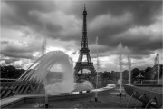 https://www.waibe.fr/sites/mohamedbenbelgacem/medias/images/__HIDDEN__galerie_2/_F4A7466-Avec_accentuation-Bruit_copie_S.jpg