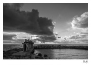 https://www.waibe.fr/sites/mohamedbenbelgacem/medias/images/__HIDDEN__galerie_2/_F4A8379-Avec_accentuation-Bruit_copie.jpg