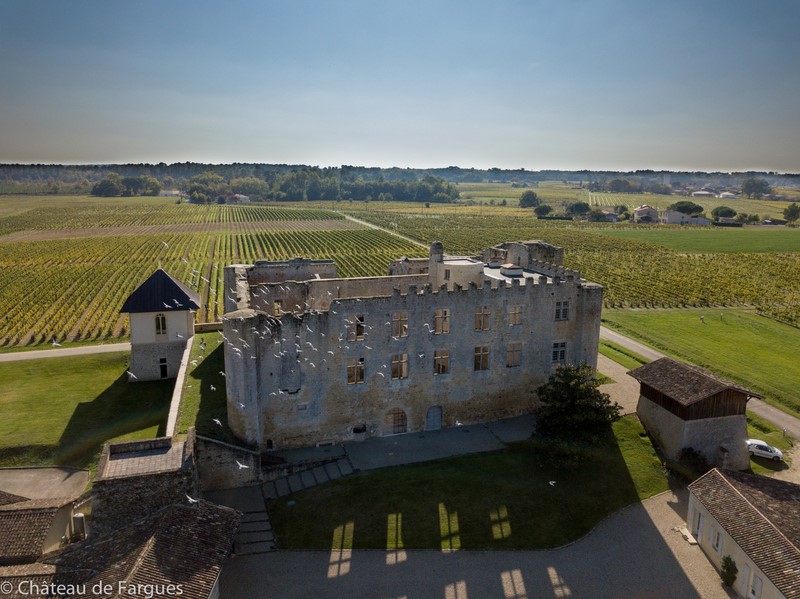 Chateau de Fargues 1 800 2