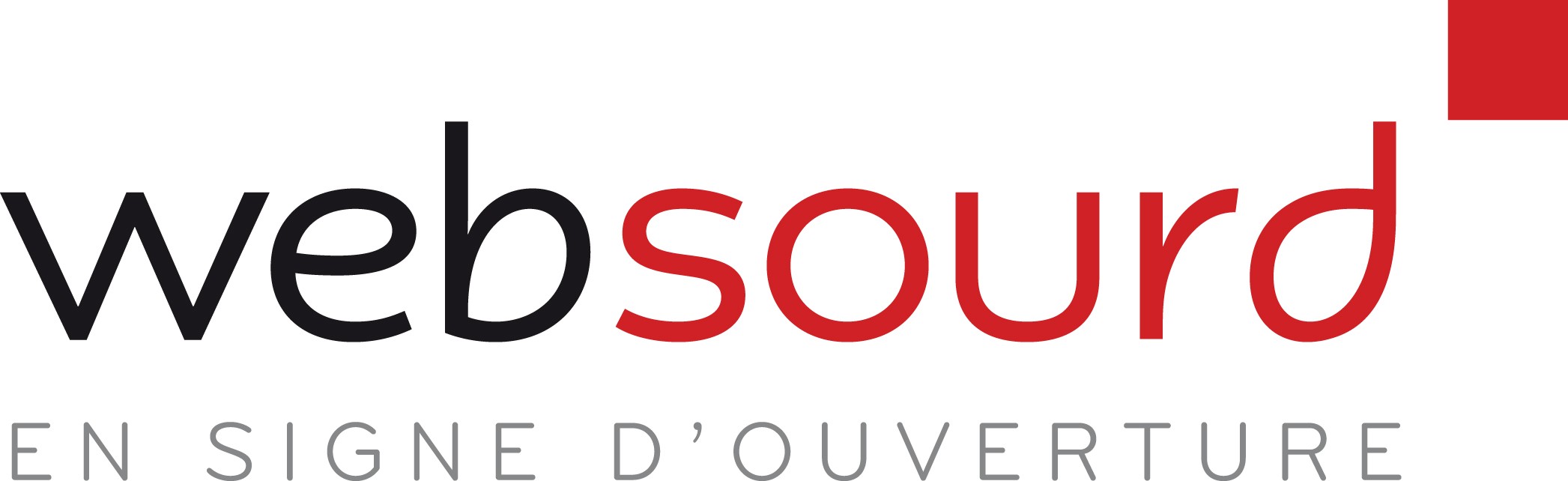 Logo Websourd signature