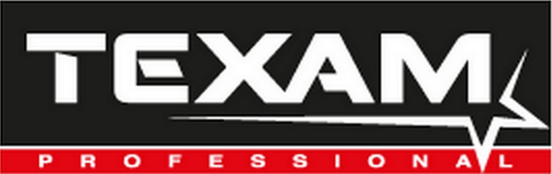Texam logo