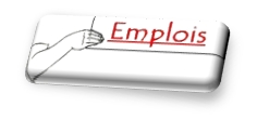 Emplois 3D