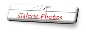 galerie photos 3D