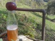 jus de pomme