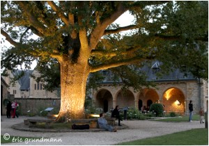 https://www.waibe.fr/sites/photoeg/medias/images/ORVAL/ORVAL_nuit__8_.jpg