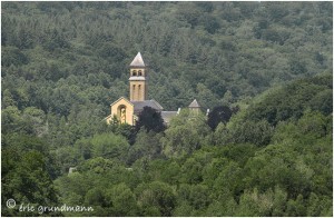 https://www.waibe.fr/sites/photoeg/medias/images/ORVAL/orval_bois.jpg